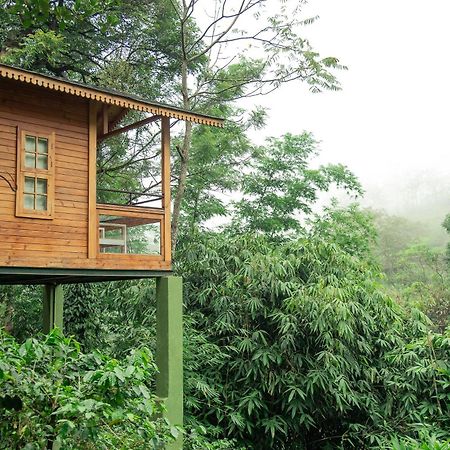 Misty Mountain Experience By Perfect Stays Pirmed ภายนอก รูปภาพ