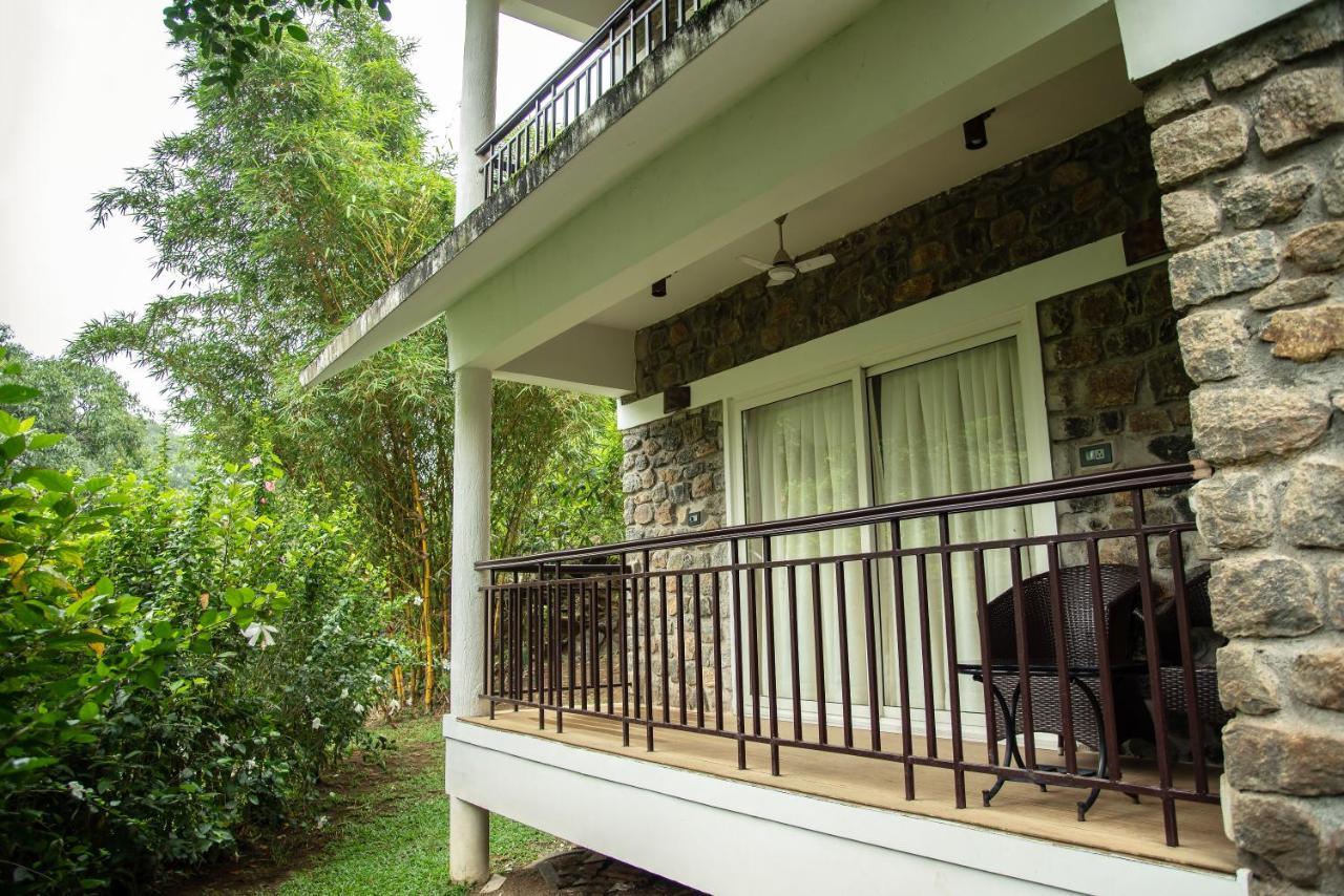 Misty Mountain Experience By Perfect Stays Pirmed ภายนอก รูปภาพ