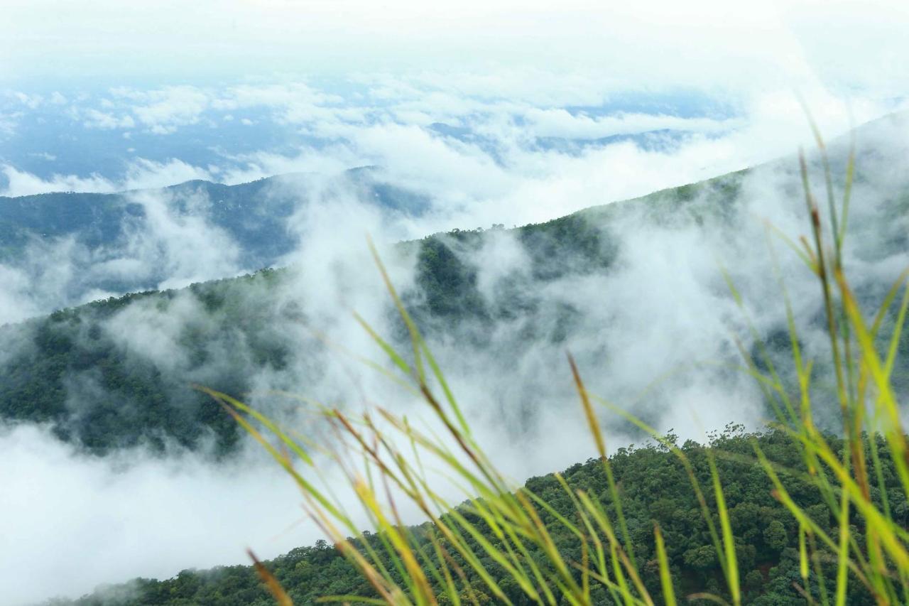 Misty Mountain Experience By Perfect Stays Pirmed ภายนอก รูปภาพ
