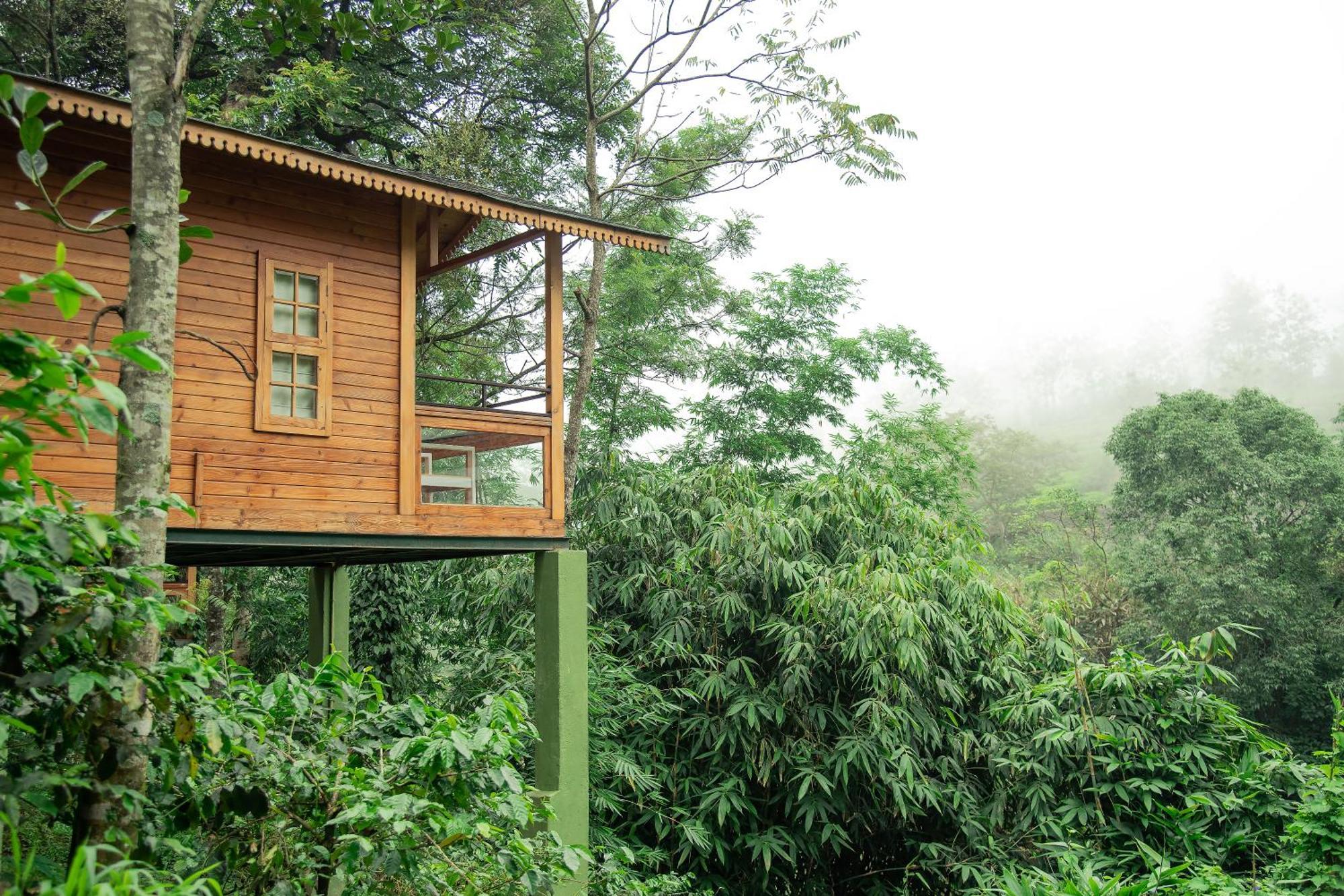 Misty Mountain Experience By Perfect Stays Pirmed ภายนอก รูปภาพ