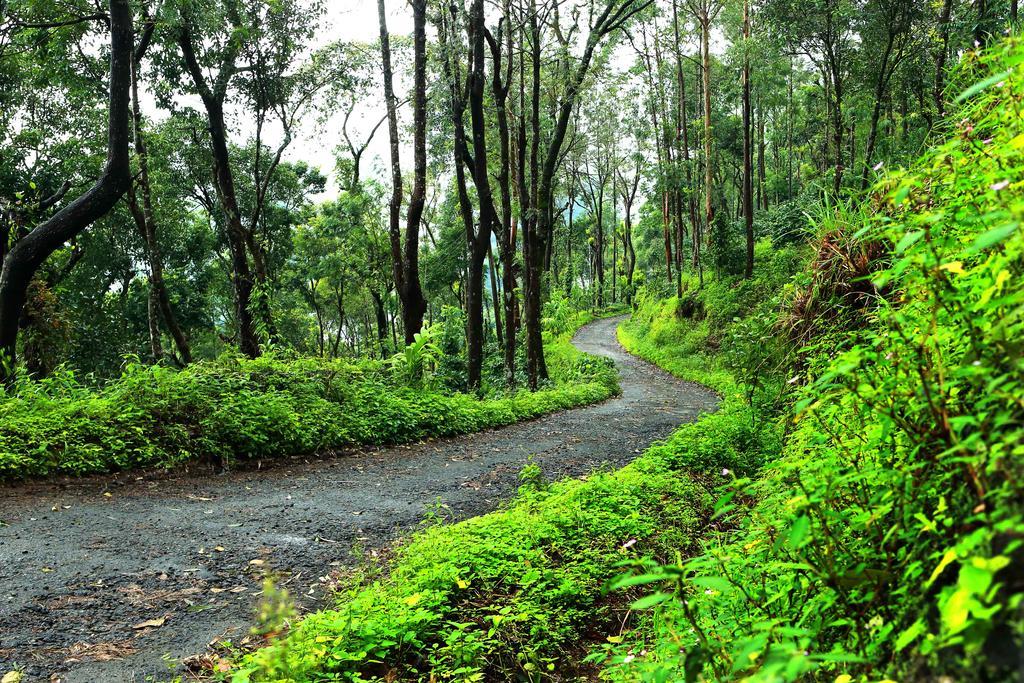 Misty Mountain Experience By Perfect Stays Pirmed ภายนอก รูปภาพ