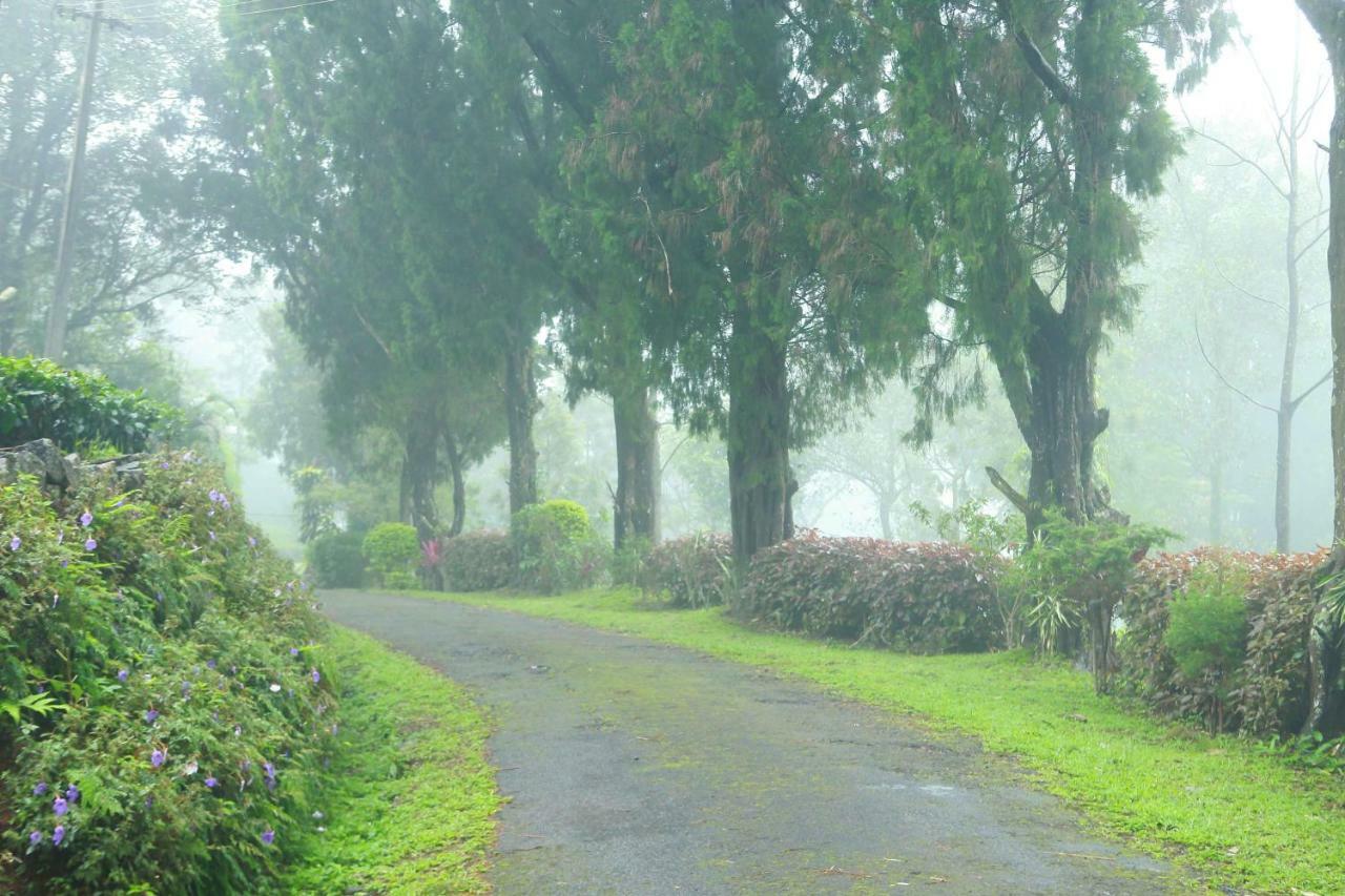 Misty Mountain Experience By Perfect Stays Pirmed ภายนอก รูปภาพ
